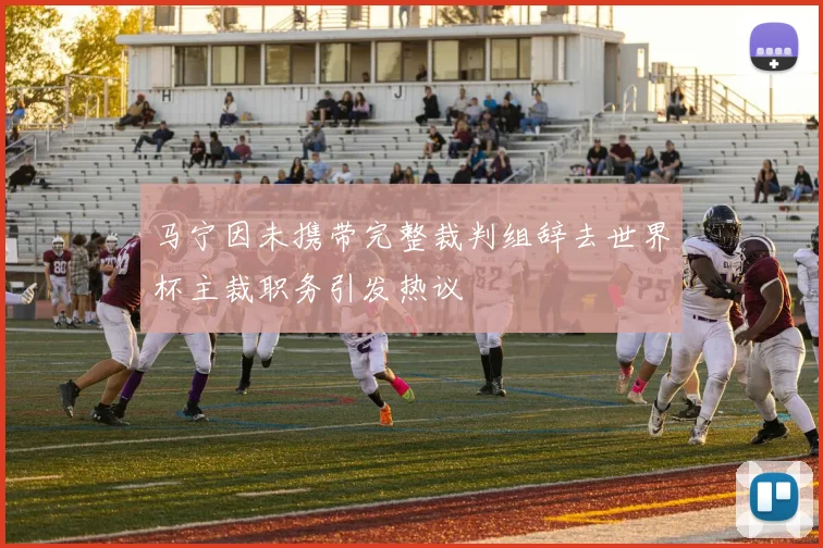 马宁因未携带完整裁判组辞去世界杯主裁职务引发热议