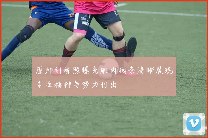 原帅训练照曝光肌肉线条清晰展现专注精神与努力付出